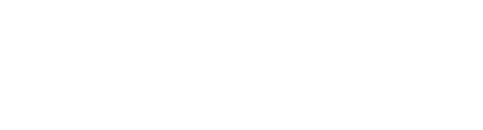 Premier Wealth Management Group